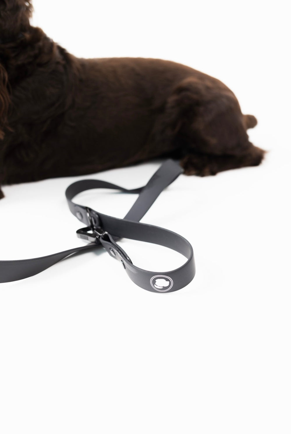 The Modern Dog Company - Better in Black Leash - - by The Modern Dog Company Store