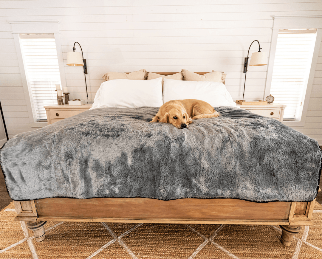 PupProtector™ Short Fur Waterproof Throw Blanket - Charcoal Grey - - Dog Blanket by Paw.com