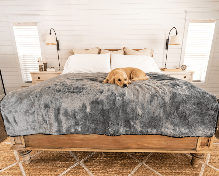 PupProtector™ Short Fur Waterproof Throw Blanket - Charcoal Grey - - Dog Blanket by Paw.com