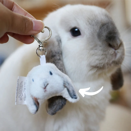 Petsies Custom Pet Keychains