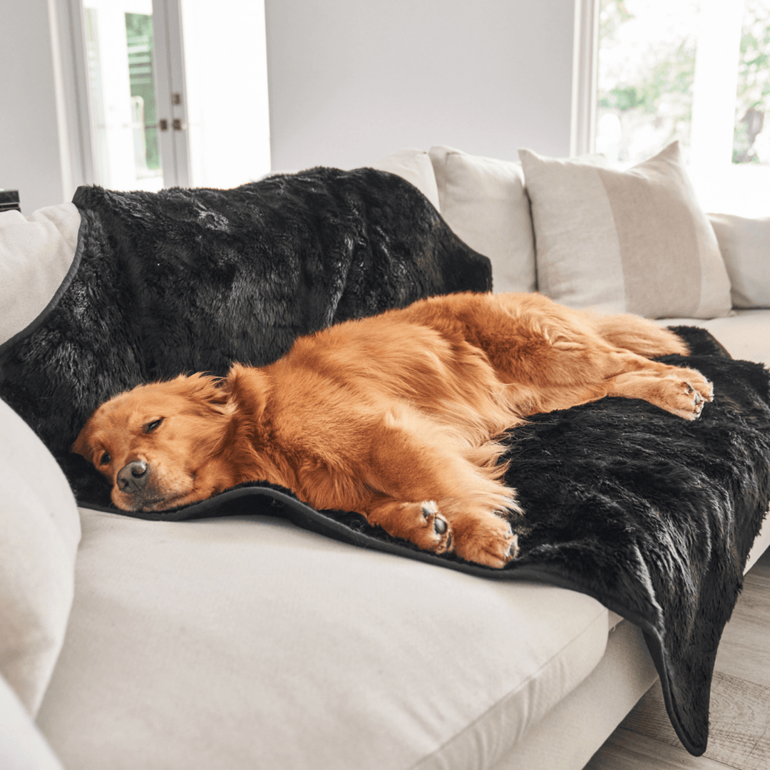 PupProtector™ Short Fur Waterproof Throw Blanket - Midnight Black - - Dog Blanket by Paw.com