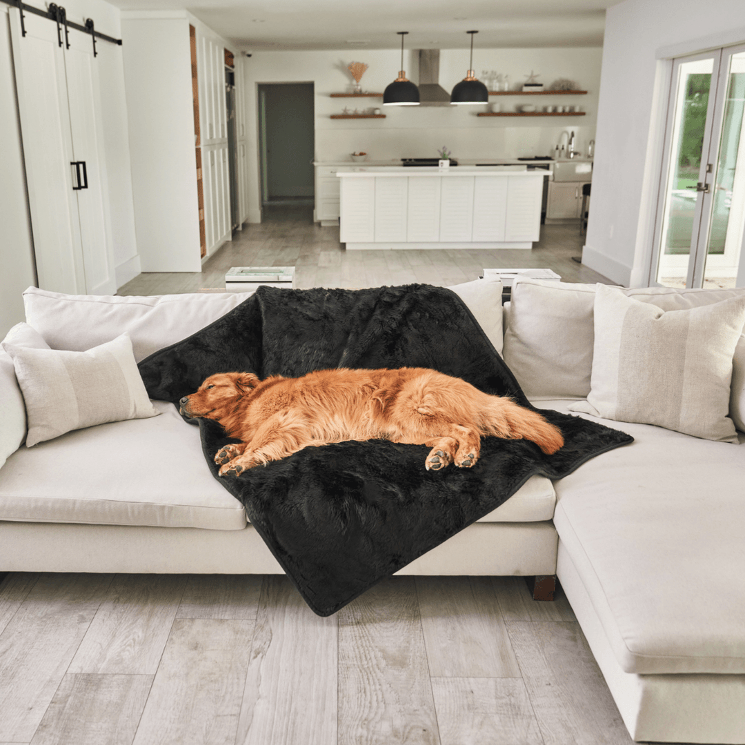 PupProtector™ Short Fur Waterproof Throw Blanket - Midnight Black - - Dog Blanket by Paw.com