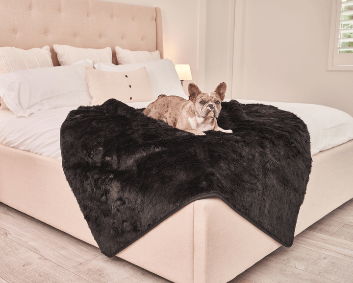 PupProtector™ Short Fur Waterproof Throw Blanket - Midnight Black - - Dog Blanket by Paw.com