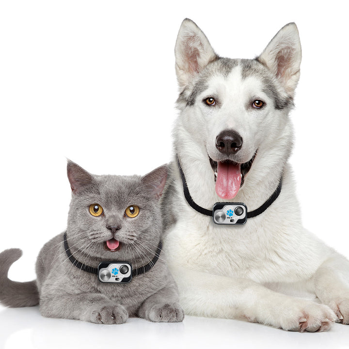 High Tech Pet Digital Waterproof Extra-Rugged Ultrasonic Pet Collar - - by High Tech Pet