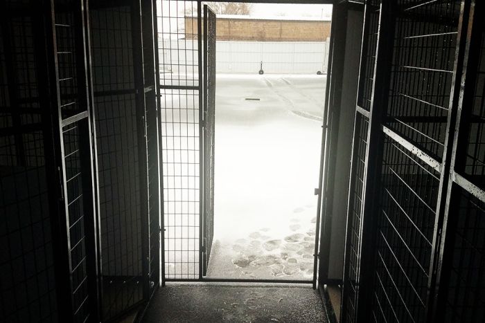 K9 Kennel Store Multiple Vinyl Enclosed Corridor Dog Kennels x2 - - Dog Kennels & Runs by K9 Kennel Store