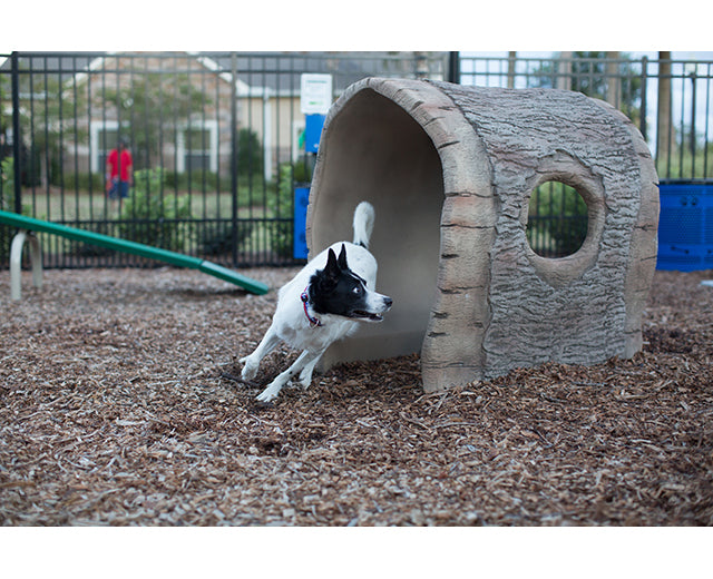 BarkPark Log Tunnel - - by BarkPark