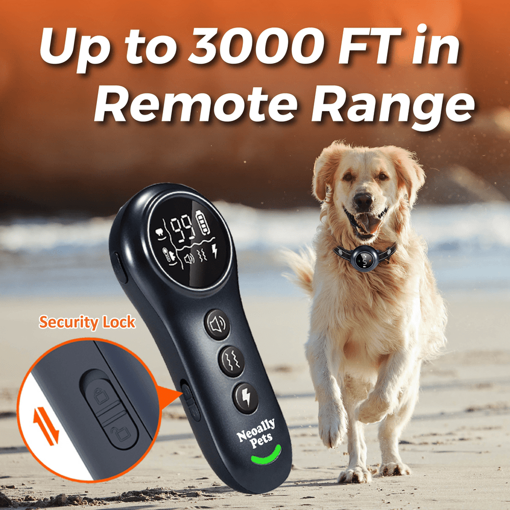 NeoAlly 2-in-1 Dog Training & Bark Control Collar | Automatic Barking Detection, Remote Shock, 5-150lbs Dogs | Rechargeable, Waterproof - - by Neoallypets