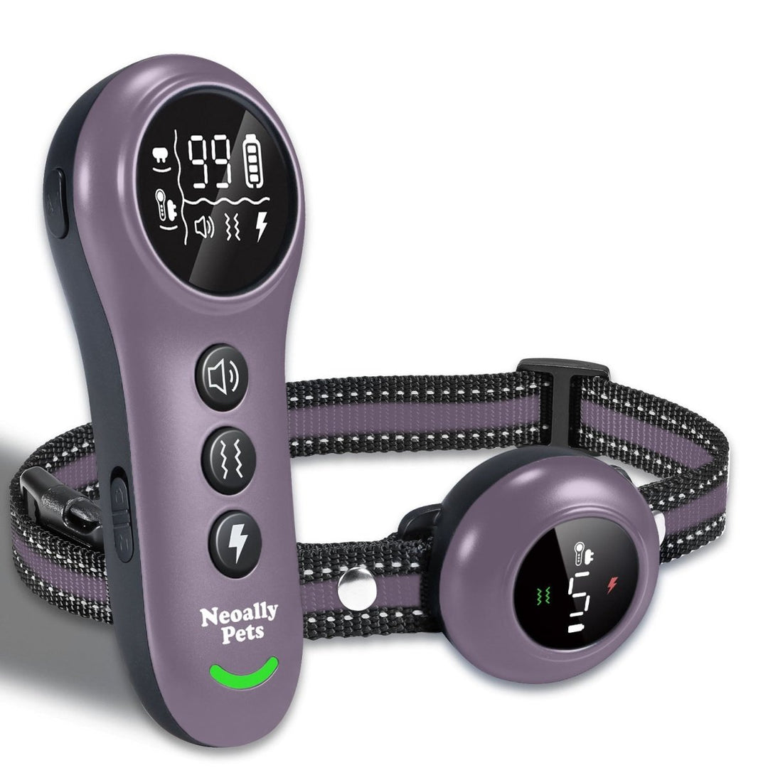 NeoAlly 2-in-1 Dog Training & Bark Control Collar | Automatic Barking Detection, Remote Shock, 5-150lbs Dogs | Rechargeable, Waterproof - Purple - by Neoallypets