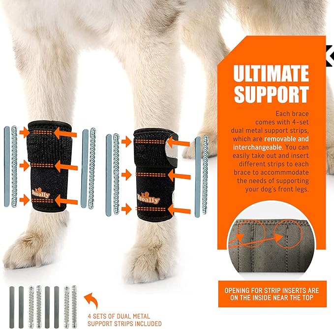 NeoAlly 3-in-1 Front Leg Dog Splint Brace: Rigid & Spring Inserts, Safety Reflective Straps (Pair) - - by Neoallypets