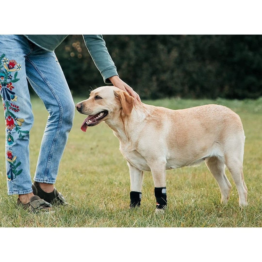 NeoAlly 3-in-1 Front Leg Dog Splint Brace: Rigid & Spring Inserts, Safety Reflective Straps (Pair) - - by Neoallypets