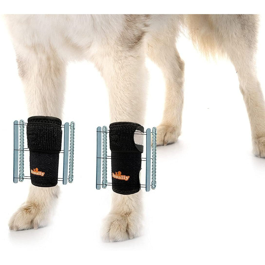 NeoAlly 3-in-1 Front Leg Dog Splint Brace: Rigid & Spring Inserts, Safety Reflective Straps (Pair) - L XL - by Neoallypets