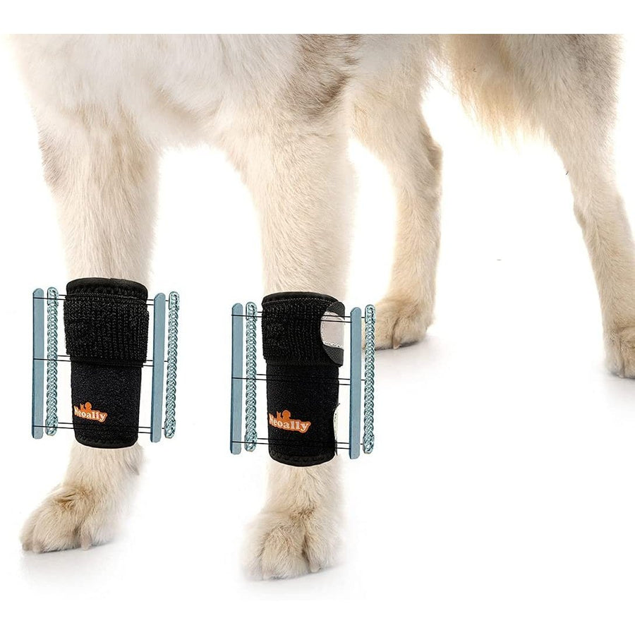 NeoAlly 3-in-1 Front Leg Dog Splint Brace: Rigid & Spring Inserts, Safety Reflective Straps (Pair) - L XL - by Neoallypets