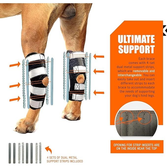 NeoAlly 3-in-1 Long Rear Leg Hock Brace - Rigid and Spring Inserts | Safety Reflective Straps [Long Version] (Pair) - - by Neoallypets