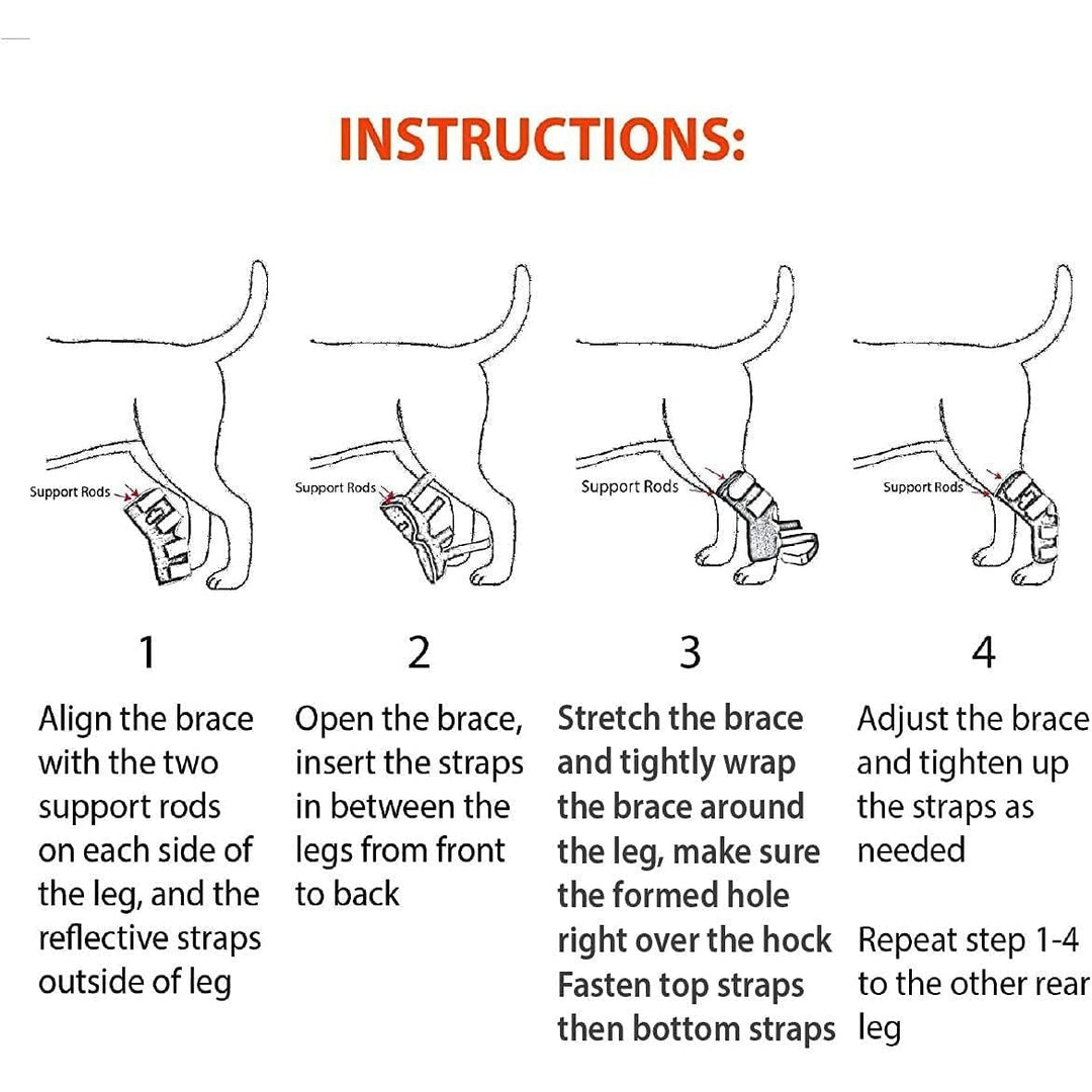 NeoAlly 3-in-1 Long Rear Leg Hock Brace - Rigid and Spring Inserts | Safety Reflective Straps [Long Version] (Pair) - - by Neoallypets