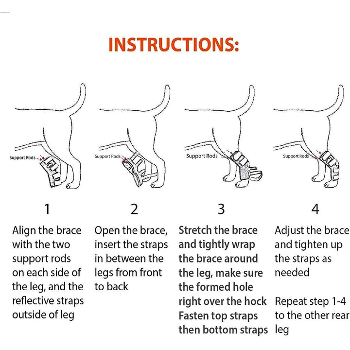 NeoAlly 3-in-1 Long Rear Leg Hock Brace - Rigid and Spring Inserts | Safety Reflective Straps [Long Version] (Pair) - - by Neoallypets