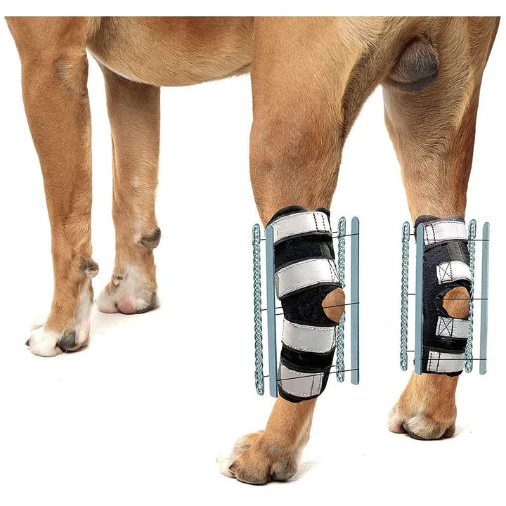 NeoAlly 3-in-1 Long Rear Leg Hock Brace - Rigid and Spring Inserts | Safety Reflective Straps [Long Version] (Pair) - X Large - by Neoallypets