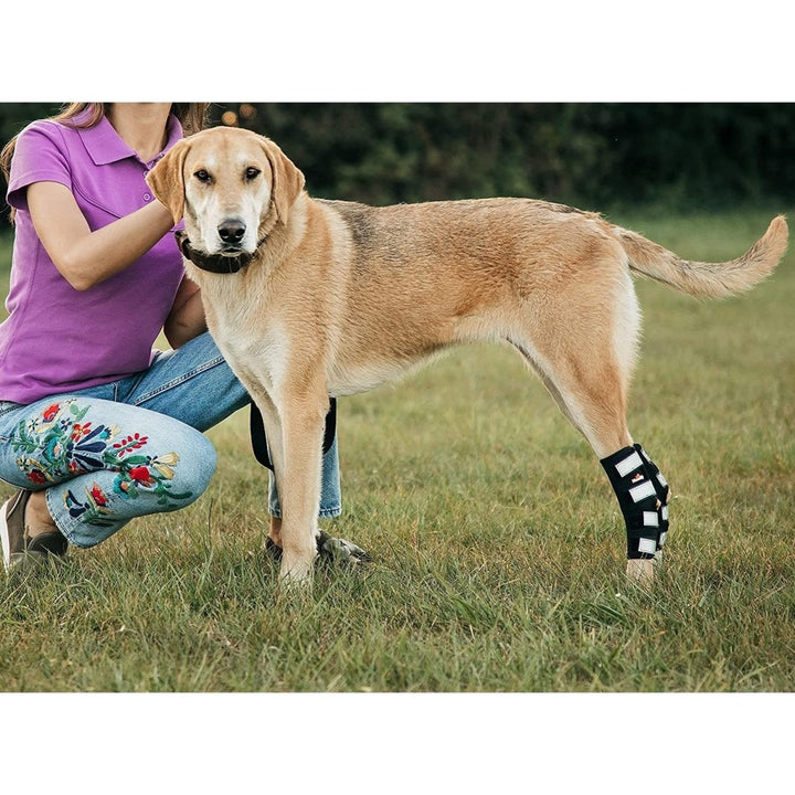 NeoAlly 3-in-1 Long Rear Leg Hock Brace - Rigid and Spring Inserts | Safety Reflective Straps [Long Version] (Pair) - - by Neoallypets