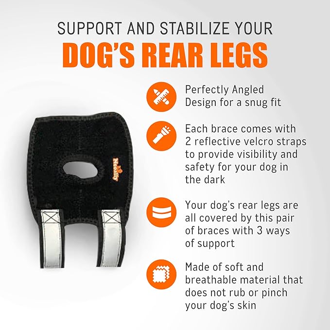 NeoAlly 3-in-1 Short Rear Leg Hock Brace for Smaller Dogs with Rigid and Spring Inserts | Safety Reflective Straps [Short Version] (Pair) - - by Neoallypets