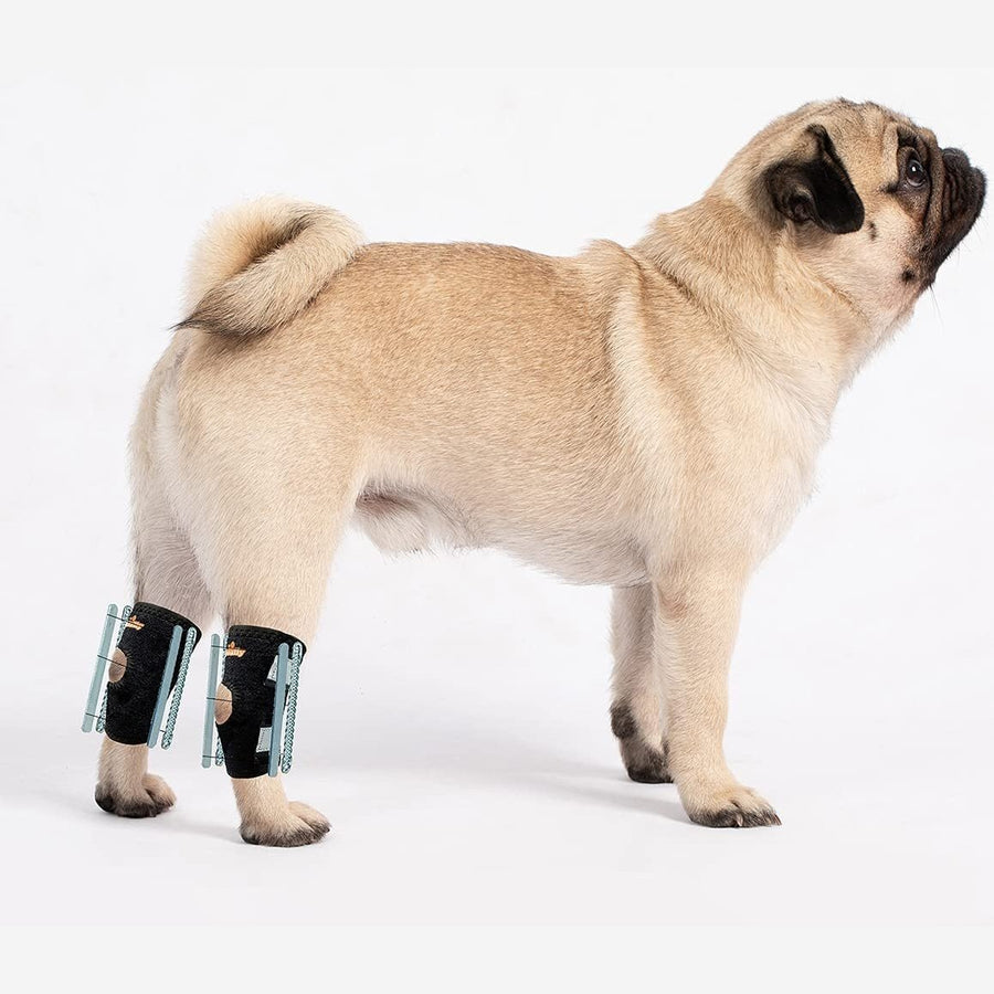 NeoAlly 3-in-1 Short Rear Leg Hock Brace for Smaller Dogs with Rigid and Spring Inserts | Safety Reflective Straps [Short Version] (Pair) - X Large - by Neoallypets