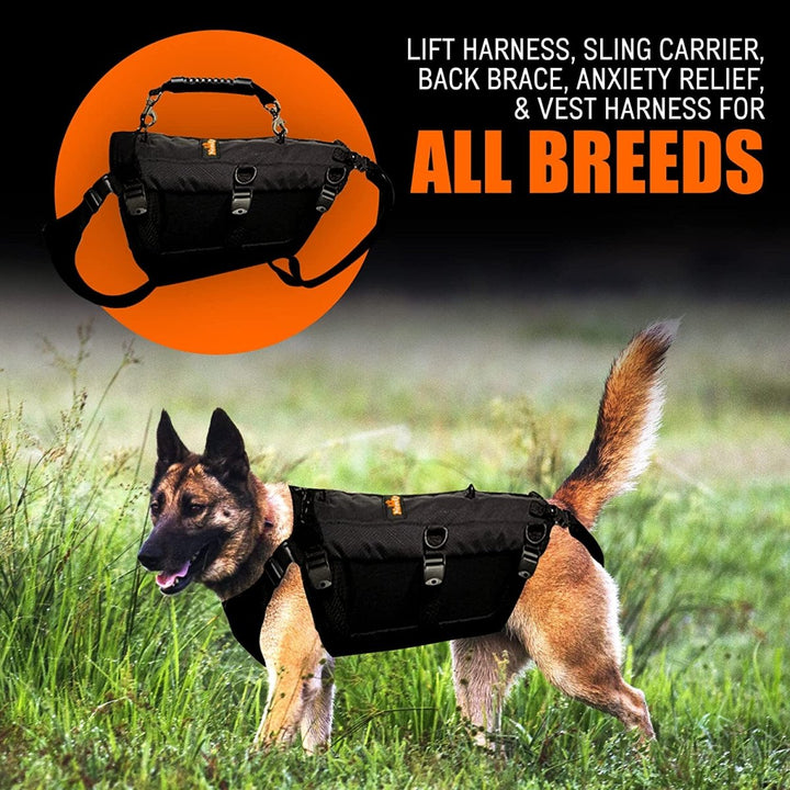 NeoAlly 5-in-1 Sturdy Dog Lift Harness Full Body Support - - by Neoallypets