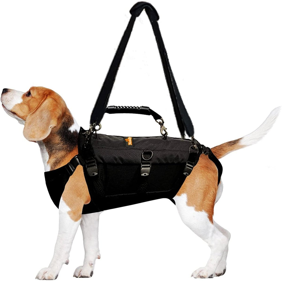 NeoAlly 5-in-1 Sturdy Dog Lift Harness Full Body Support - X Large Pro - by Neoallypets