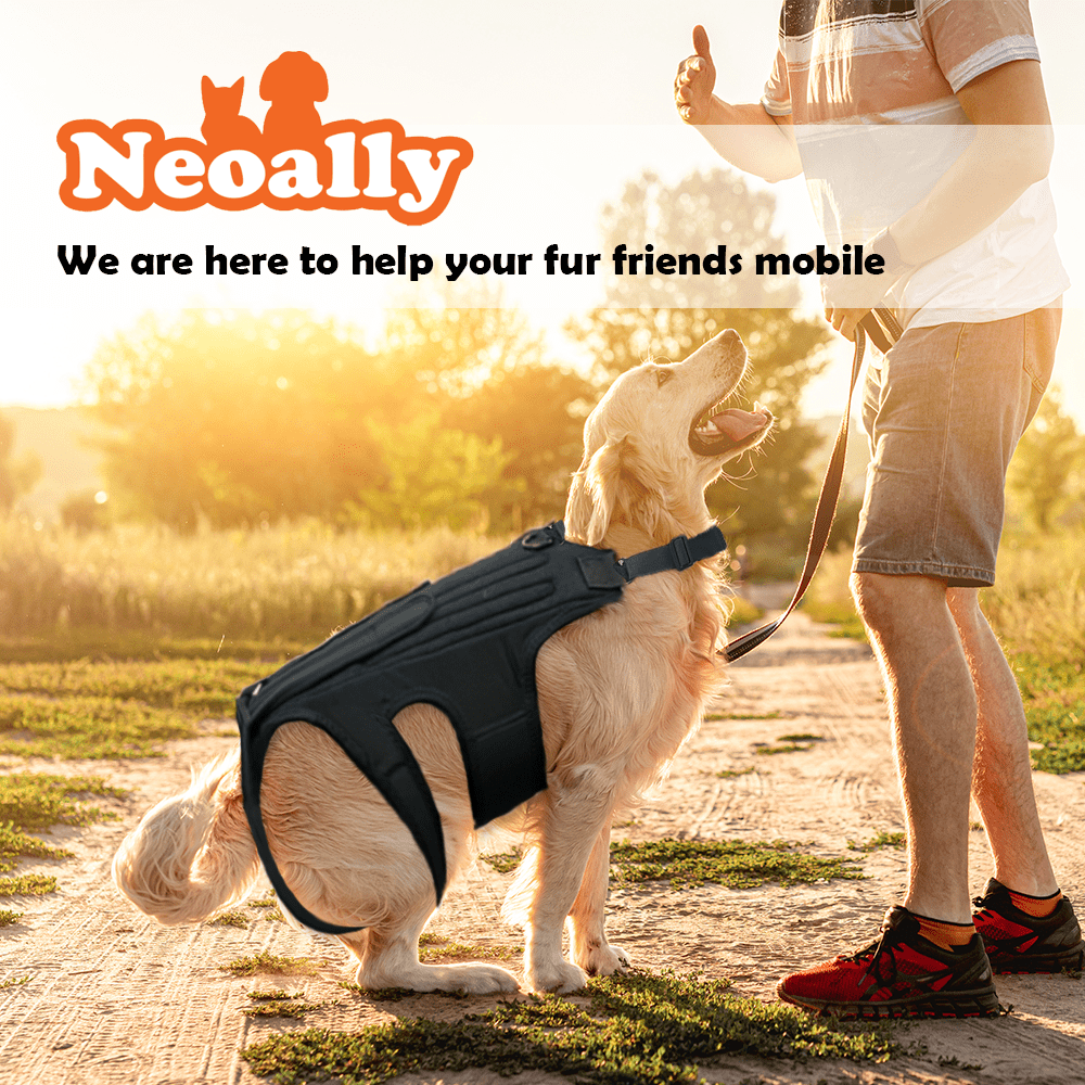 NeoAlly Dog Back Brace for Dogs with Inserts for Extra Support - - by Neoallypets