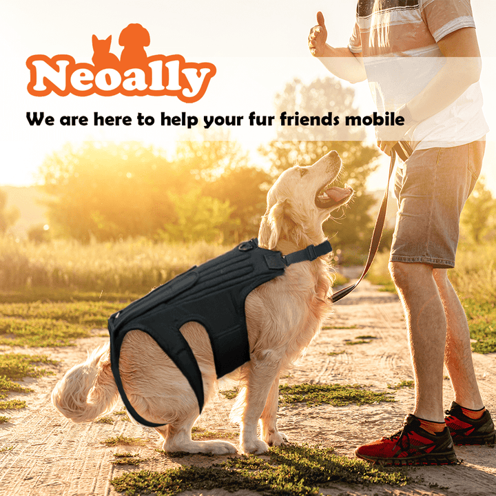 NeoAlly Dog Back Brace for Dogs with Inserts for Extra Support - - by Neoallypets