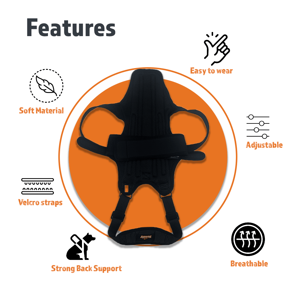 NeoAlly Dog Back Brace for Dogs with Inserts for Extra Support - - by Neoallypets