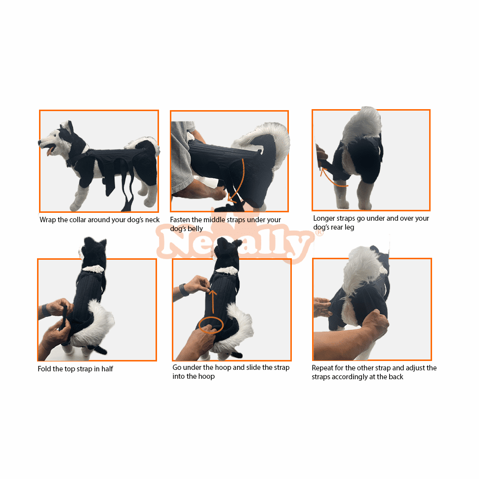 NeoAlly Dog Back Brace for Dogs with Inserts for Extra Support - - by Neoallypets