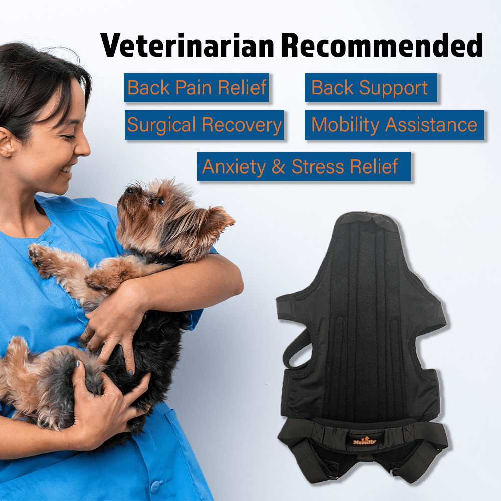 NeoAlly Dog Back Brace for Dogs with Inserts for Extra Support - - by Neoallypets