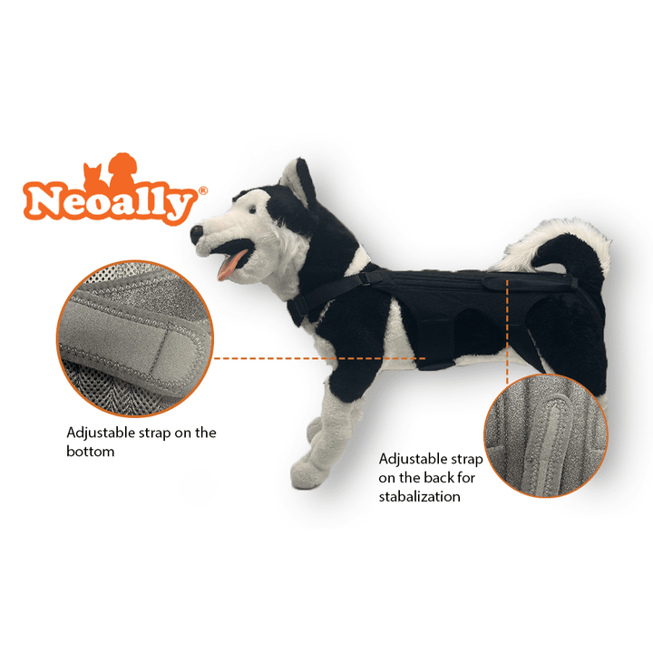 NeoAlly Dog Back Brace for Dogs with Inserts for Extra Support - - by Neoallypets