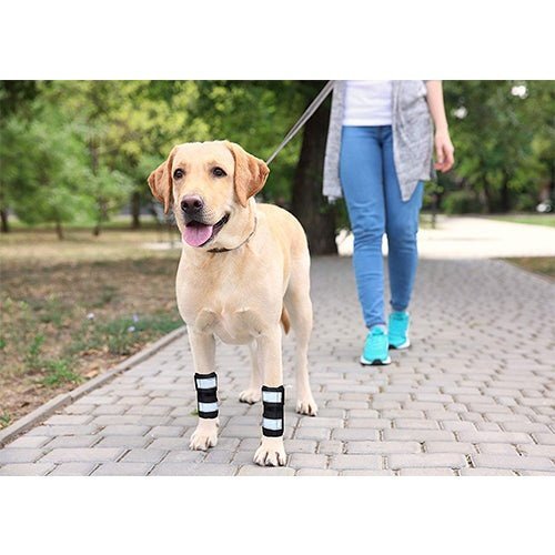 NeoAlly Dog Front Leg Brace with Reflective Straps - Metal Spring Inserts for Carpal Support (Pair) - - by Neoallypets