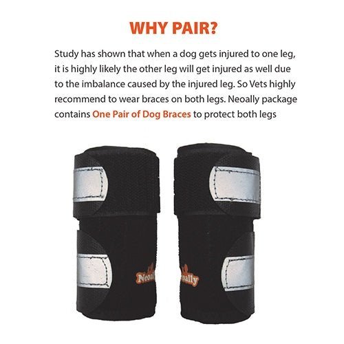 NeoAlly Dog Front Leg Brace with Reflective Straps - Metal Spring Inserts for Carpal Support (Pair) - - by Neoallypets