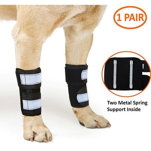 NeoAlly Dog Front Leg Brace with Reflective Straps - Metal Spring Inserts for Carpal Support (Pair) - L XL - by Neoallypets