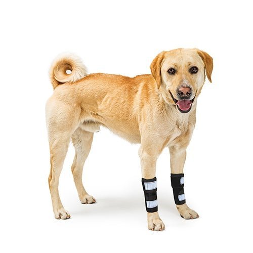NeoAlly Dog Front Leg Brace with Reflective Straps - Metal Spring Inserts for Carpal Support (Pair) - - by Neoallypets