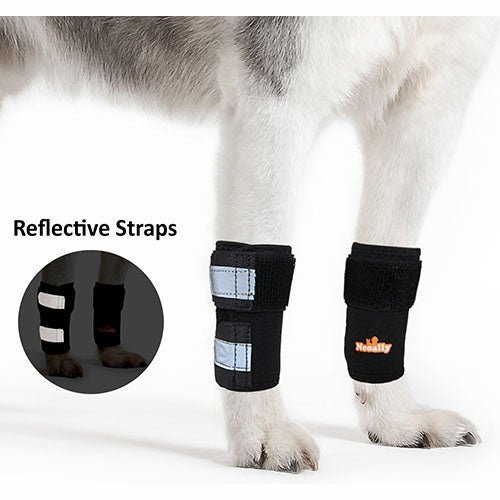 NeoAlly Dog Front Leg Braces: Enhance Safety with Reflective Straps (Pair) - - by Neoallypets