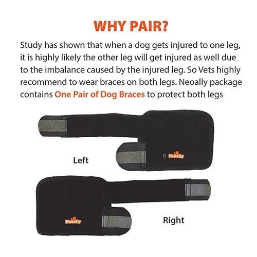NeoAlly Dog Front Leg Braces: Enhance Safety with Reflective Straps (Pair) - - by Neoallypets