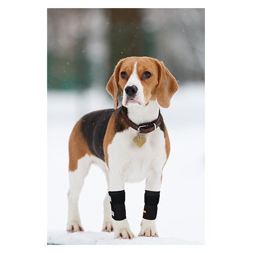 NeoAlly Dog Front Leg Braces: Enhance Safety with Reflective Straps (Pair) - - by Neoallypets