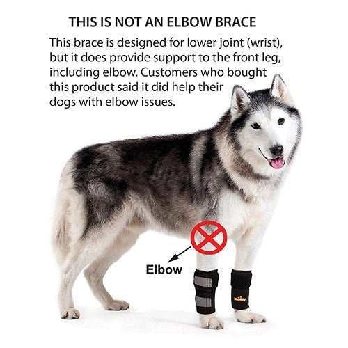 NeoAlly Dog Front Leg Braces: Enhance Safety with Reflective Straps (Pair) - - by Neoallypets