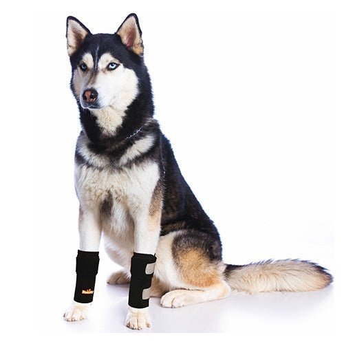 NeoAlly Dog Front Leg Braces: Enhance Safety with Reflective Straps (Pair) - - by Neoallypets