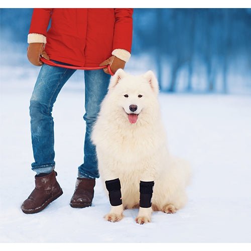 NeoAlly Dog Front Leg Braces: Enhance Safety with Reflective Straps (Pair) - - by Neoallypets