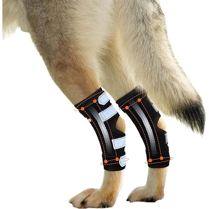 NeoAlly Dog Rear Leg Hock Brace with Metal Spring Strips for Large Dogs [Long Version] (Pair) - - by Neoallypets