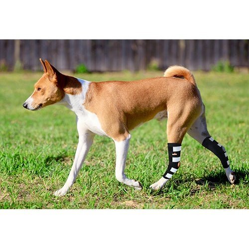 NeoAlly Dog Rear Leg Hock Brace with Metal Spring Strips for Large Dogs [Long Version] (Pair) - - by Neoallypets