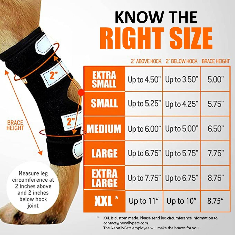 NeoAlly Dog Rear Leg Hock Brace with Metal Spring Strips for Large Dogs [Long Version] (Pair) - - by Neoallypets