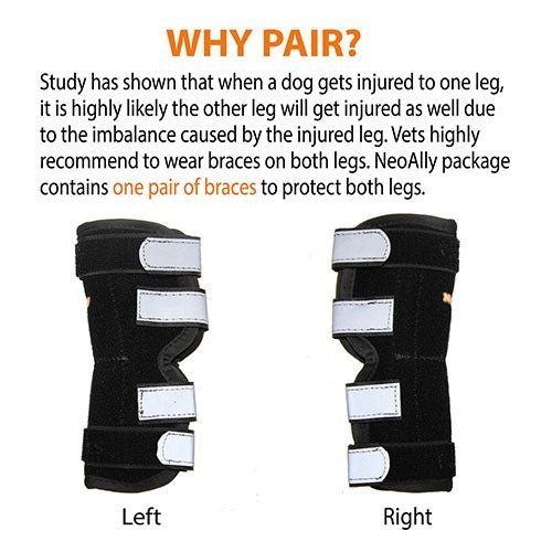 NeoAlly Dog Rear Leg Hock Brace with Metal Spring Strips for Large Dogs [Long Version] (Pair) - - by Neoallypets