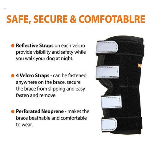 NeoAlly Dog Rear Leg Hock Brace with Metal Spring Strips for Large Dogs [Long Version] (Pair) - - by Neoallypets
