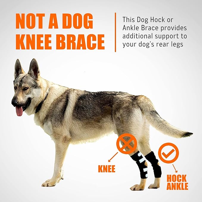 NeoAlly Dog Rear Leg Hock Brace with Metal Spring Strips for Large Dogs [Long Version] (Pair) - - by Neoallypets