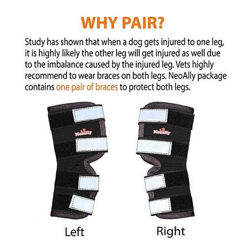 NeoAlly Dog Rear Leg Hock Brace with Safety Reflective Straps for Large Dogs [Long Version] - - by Neoallypets
