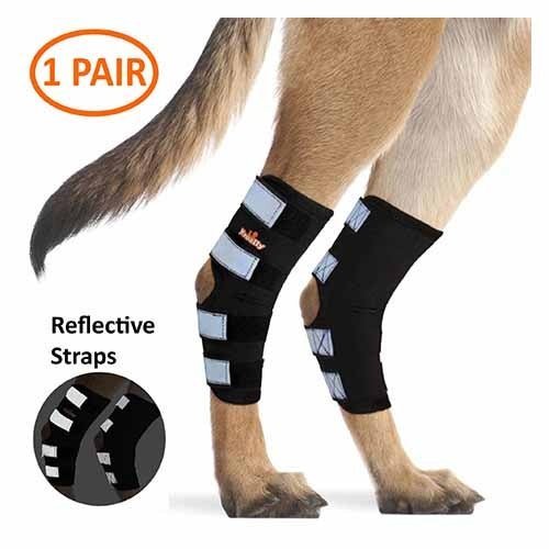 NeoAlly Dog Rear Leg Hock Brace with Safety Reflective Straps for Large Dogs [Long Version] - Pair - by Neoallypets