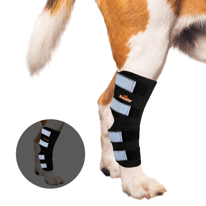 NeoAlly Dog Rear Leg Hock Brace with Safety Reflective Straps for Large Dogs [Long Version] - Right - by Neoallypets